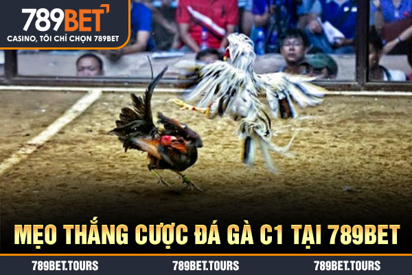 Mẹo thắng cược đá gà C1 tại 789bet